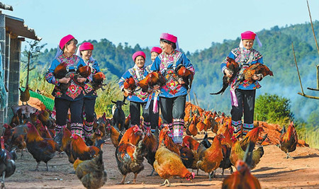 33_副本.jpg 33_副本.jpg