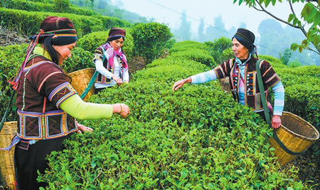 52_副本.jpg 52_副本.jpg