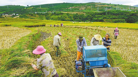 5_副本.jpg 5_副本.jpg