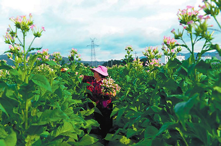 7_副本.jpg 7_副本.jpg