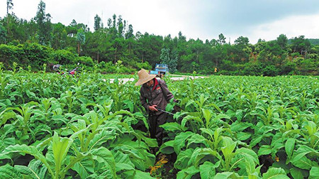 6_副本.jpg 6_副本.jpg