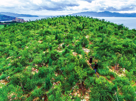 0_副本.jpg 0_副本.jpg