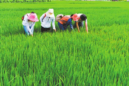 3_副本.jpg 3_副本.jpg