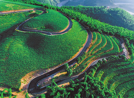 56_副本.jpg 56_副本.jpg