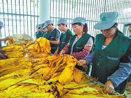 5_副本.jpg 5_副本.jpg