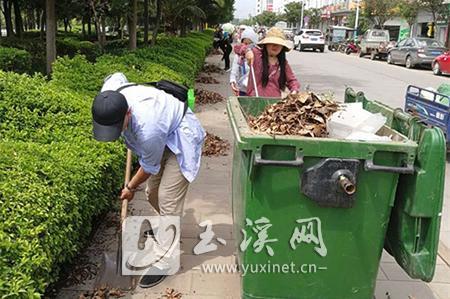 L_1559630658691532205