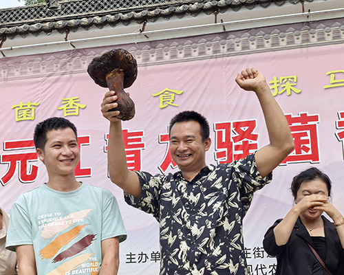 元江青龙驿菌香美食文化节举行.jpg