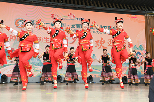 第二十一届中国·云南野生食用菌交易会举办.jpg