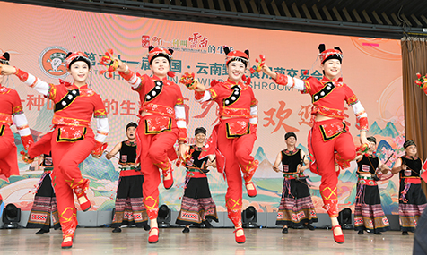 第二十一届中国·云南野生食用菌交易会举办
