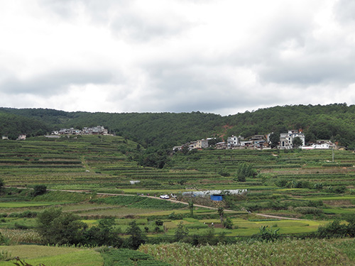 红白事“瘦身” 文明风拂面.jpg