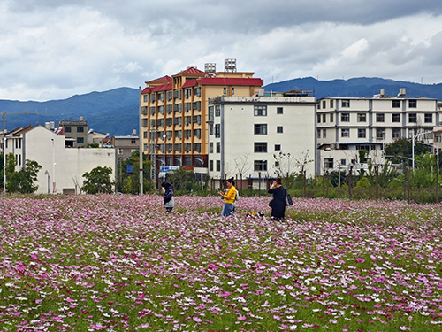 美丽玉溪文明游览1.jpg 美丽玉溪文明游览1.jpg