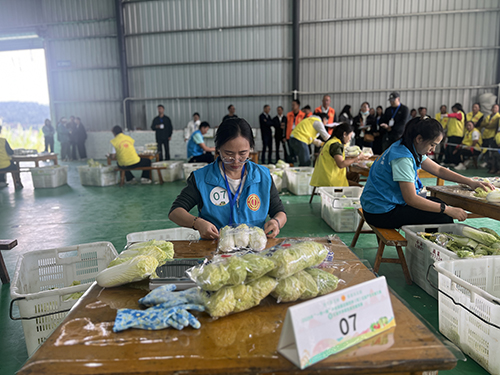 净菜包装赛开赛 助推云菜产业提质.jpg