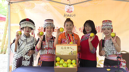 “褚橙之乡—— — 美味传橙”电商直播节启幕.jpg