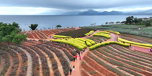 湖光秋色醉游人.jpg 湖光秋色醉游人.jpg